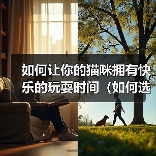 如何让你的猫咪拥有快乐的玩耍时间(如何选择适合猫咪的玩具)(图4) 如何让你的猫咪拥有快乐的玩耍时间(如何选择适合猫咪的玩具)(图4)
