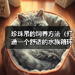珍珠吊的饲养方法(打造一个舒适的水族箱环境)(图1) 珍珠吊的饲养方法(打造一个舒适的水族箱环境)(图1)