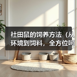 社田鼠的饲养方法(从环境到饲料,全方位呵护你的社田鼠)(图2) 社田鼠的饲养方法(从环境到饲料,全方位呵护你的社田鼠)(图2)