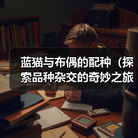 蓝猫与布偶的配种（探索品种杂交的奇妙之旅）（图4）
