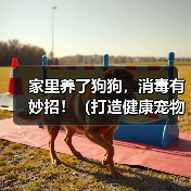 家里养了狗狗，消毒有妙招！（打造健康宠物居家环境，让爱宠和家人更安心）（图1）