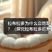 拉布拉多为什么会吃草？（探究拉布拉多吃草的原因和如何正确处理）（图1）
