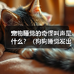 宠物睡觉的奇怪叫声是什么？（狗狗睡觉发出的叫声是什么样的？——探究宠物睡眠中的神秘行为）（图1）