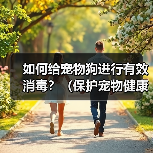 如何给宠物狗进行有效消毒？（保护宠物健康，从正确消毒开始）（图1）