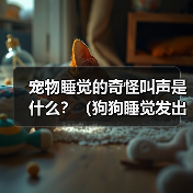 宠物睡觉的奇怪叫声是什么？（狗狗睡觉发出的叫声是什么样的？——探究宠物睡眠中的神秘行为）（图3）