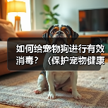 如何给宠物狗进行有效消毒？（保护宠物健康，从正确消毒开始）（图3）