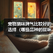宠物猫咪脾气比较好的选择（哪些品种的猫咪性格温顺友好）（图1）