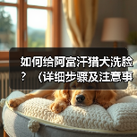 如何给阿富汗猎犬洗脸？（详细步骤及注意事项。）（图1）