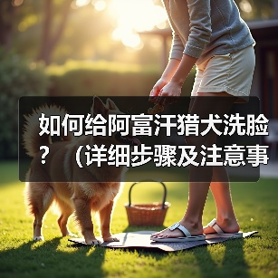 如何给阿富汗猎犬洗脸？（详细步骤及注意事项。）（图3）