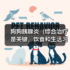 狗狗胰腺炎（综合治疗是关键，饮食和生活习惯也重要）（图2）