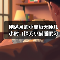 刚满月的小猫每天睡几小时(探究小猫睡眠习惯及其对健康的影响)(图1) 刚满月的小猫每天睡几小时(探究小猫睡眠习惯及其对健康的影响)(图1)