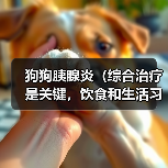 狗狗胰腺炎（综合治疗是关键，饮食和生活习惯也重要）（图4）