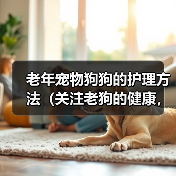 老年宠物狗狗的护理方法(关注老狗的健康,细心呵护老伴侣)(图3) 老年宠物狗狗的护理方法(关注老狗的健康,细心呵护老伴侣)(图3)