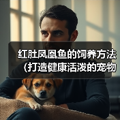 红肚凤凰鱼的饲养方法（打造健康活泼的宠物鱼）（图2）