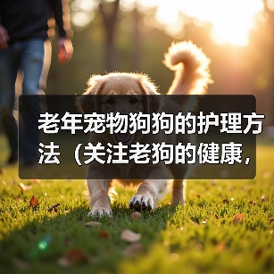 老年宠物狗狗的护理方法(关注老狗的健康,细心呵护老伴侣)(图4) 老年宠物狗狗的护理方法(关注老狗的健康,细心呵护老伴侣)(图4)