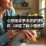 小猫绝育手术后护理知识（详细了解小猫绝育手术后的注意事项和护理措施）（图1）