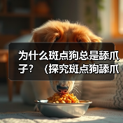 为什么斑点狗总是舔爪子?(探究斑点狗舔爪子的原因和行为习惯)(图2) 为什么斑点狗总是舔爪子?(探究斑点狗舔爪子的原因和行为习惯)(图2)