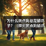 为什么斑点狗总是舔爪子?(探究斑点狗舔爪子的原因和行为习惯)(图3) 为什么斑点狗总是舔爪子?(探究斑点狗舔爪子的原因和行为习惯)(图3)
