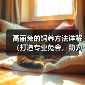 高丽兔的饲养方法详解(打造专业兔舍,助力高丽兔健康成长)(图4) 高丽兔的饲养方法详解(打造专业兔舍,助力高丽兔健康成长)(图4)