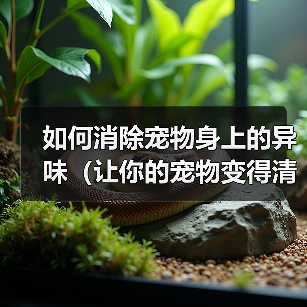 如何消除宠物身上的异味(让你的宠物变得清新自然)(图2) 如何消除宠物身上的异味(让你的宠物变得清新自然)(图2)