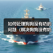 如何处理狗狗没有奶的问题（解决狗狗没有奶的情况，让它健康成长）（图4）