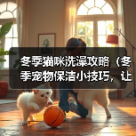 冬季猫咪洗澡攻略(冬季宠物保洁小技巧,让猫咪健康舒适过冬)(图1) 冬季猫咪洗澡攻略(冬季宠物保洁小技巧,让猫咪健康舒适过冬)(图1)