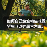 如何自己给宠物猫咪做驱虫(以铲屎官为主,轻松做好猫咪的驱虫工作)(图1) 如何自己给宠物猫咪做驱虫(以铲屎官为主,轻松做好猫咪的驱虫工作)(图1)