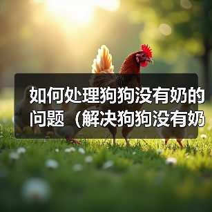 如何处理狗狗没有奶的问题（解决狗狗没有奶的情况，让它健康成长）（图3）