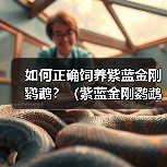 如何正确饲养紫蓝金刚鹦鹉?(紫蓝金刚鹦鹉的饲养方法与注意事项)(图1) 如何正确饲养紫蓝金刚鹦鹉?(紫蓝金刚鹦鹉的饲养方法与注意事项)(图1)