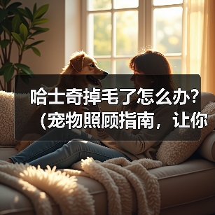 哈士奇掉毛了怎么办?(宠物照顾指南,让你的哈士奇掉毛少如一把梳子)(图1) 哈士奇掉毛了怎么办?(宠物照顾指南,让你的哈士奇掉毛少如一把梳子)(图1)