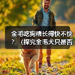 金毛吃狗粮长得快不快?(探究金毛犬只是否需特殊饮食及狗粮是否有助于其成长)(图1) 金毛吃狗粮长得快不快?(探究金毛犬只是否需特殊饮食及狗粮是否有助于其成长)(图1)