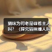 猫咪为何老是缠着主人叫?(探究猫咪缠人叫的原因及如何应对)(图2) 猫咪为何老是缠着主人叫?(探究猫咪缠人叫的原因及如何应对)(图2)