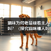 猫咪为何老是缠着主人叫?(探究猫咪缠人叫的原因及如何应对)(图1) 猫咪为何老是缠着主人叫?(探究猫咪缠人叫的原因及如何应对)(图1)