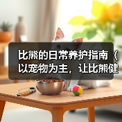 比熊的日常养护指南（以宠物为主，让比熊健康成长）（图1）