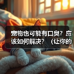 宠物也可能有口臭?应该如何解决?(让你的宠物告别口臭,彰显宠爱心情!)(图2) 宠物也可能有口臭?应该如何解决?(让你的宠物告别口臭,彰显宠爱心情!)(图2)