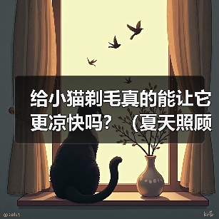 给小猫剃毛真的能让它更凉快吗？（夏天照顾小猫，别乱剃毛！）（图4）