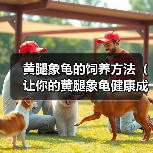 黄腿象龟的饲养方法(让你的黄腿象龟健康成长)(图4) 黄腿象龟的饲养方法(让你的黄腿象龟健康成长)(图4)