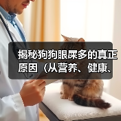 揭秘狗狗眼屎多的真正原因（从营养、健康、环境三方面解析狗狗眼屎多的成因）（图3）