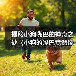 揭秘小狗嘴巴的神奇之处(小狗的嘴巴竟然像这个东西!)(图3) 揭秘小狗嘴巴的神奇之处(小狗的嘴巴竟然像这个东西!)(图3)