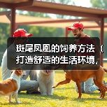 斑尾凤凰的饲养方法(打造舒适的生活环境,健康饮食与细致护理)(图2) 斑尾凤凰的饲养方法(打造舒适的生活环境,健康饮食与细致护理)(图2)