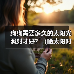狗狗需要多久的太阳光照射才好?(晒太阳对狗狗的好处及注意事项)(图1) 狗狗需要多久的太阳光照射才好?(晒太阳对狗狗的好处及注意事项)(图1)
