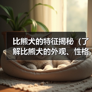 比熊犬的特征揭秘(了解比熊犬的外观、性格和护理需求)(图2) 比熊犬的特征揭秘(了解比熊犬的外观、性格和护理需求)(图2)