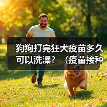 狗狗打完狂犬疫苗多久可以洗澡?(疫苗接种时间与洗澡注意事项)(图2) 狗狗打完狂犬疫苗多久可以洗澡?(疫苗接种时间与洗澡注意事项)(图2)