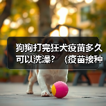 狗狗打完狂犬疫苗多久可以洗澡?(疫苗接种时间与洗澡注意事项)(图4) 狗狗打完狂犬疫苗多久可以洗澡?(疫苗接种时间与洗澡注意事项)(图4)