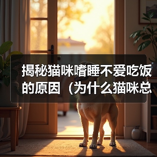 揭秘猫咪嗜睡不爱吃饭的原因(为什么猫咪总是懒洋洋的?为什么猫咪不爱吃饭?)(图2) 揭秘猫咪嗜睡不爱吃饭的原因(为什么猫咪总是懒洋洋的?为什么猫咪不爱吃饭?)(图2)