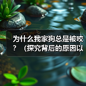 为什么我家狗总是被咬?(探究背后的原因以及如何保护我们的宠物)(图4) 为什么我家狗总是被咬?(探究背后的原因以及如何保护我们的宠物)(图4)