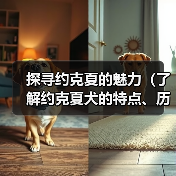 探寻约克夏的魅力(了解约克夏犬的特点、历史和培养之道)(图2) 探寻约克夏的魅力(了解约克夏犬的特点、历史和培养之道)(图2)