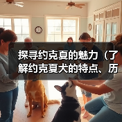探寻约克夏的魅力(了解约克夏犬的特点、历史和培养之道)(图1) 探寻约克夏的魅力(了解约克夏犬的特点、历史和培养之道)(图1)