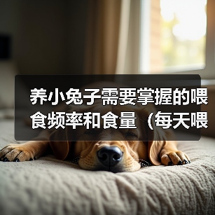养小兔子需要掌握的喂食频率和食量(每天喂食几次?一次喂食多少兔粮?)(图2) 养小兔子需要掌握的喂食频率和食量(每天喂食几次?一次喂食多少兔粮?)(图2)
