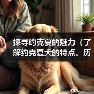 探寻约克夏的魅力(了解约克夏犬的特点、历史和培养之道)(图3) 探寻约克夏的魅力(了解约克夏犬的特点、历史和培养之道)(图3)